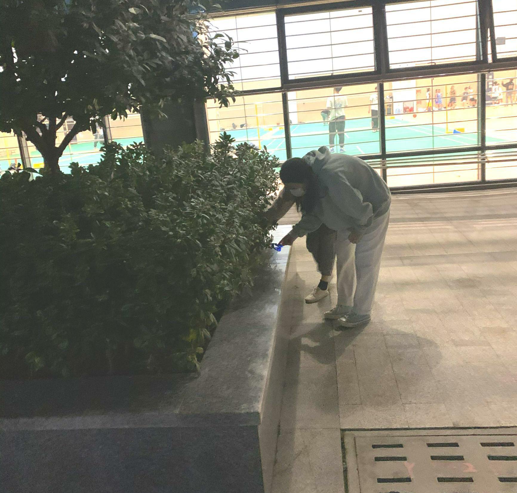 体育馆2.jpg